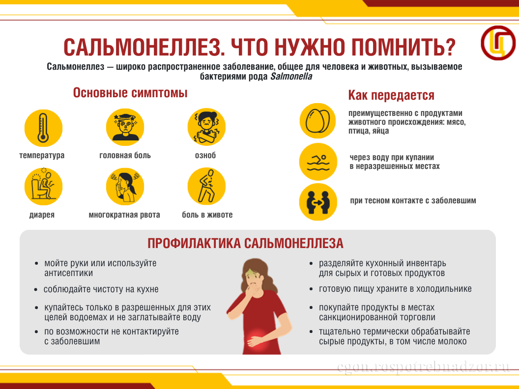 Профилактика сальмонеллеза.